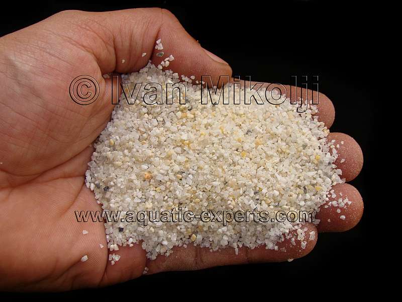 SUSTRATOS PARA PECERAS DE AGUA DULCE